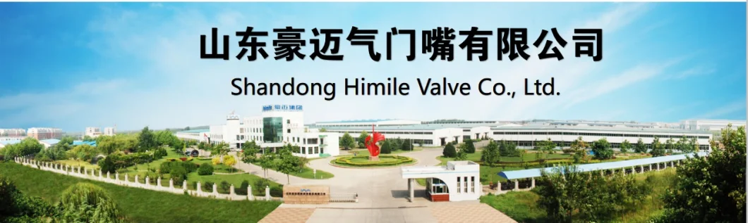 Himile Car Tire Valve V3-20-6 Truck &amp; Bus Tyre Valves Steel Wheel Metric Rim Hole Valves-Clamp-in Type