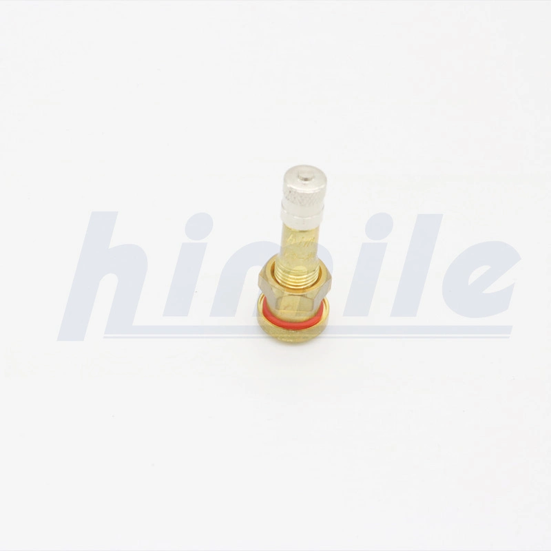 Himile Car Tire Valve V3-20-1 Tubeless Metal Clamp-in Valves for Truck and Bus Car Tyre Valve